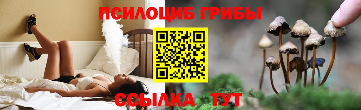 Псилоцибиновые грибы мицелий  Вход с VPN  купить наркотики сайты  Вологда  Псилоцибиновые грибы прущие грибы 