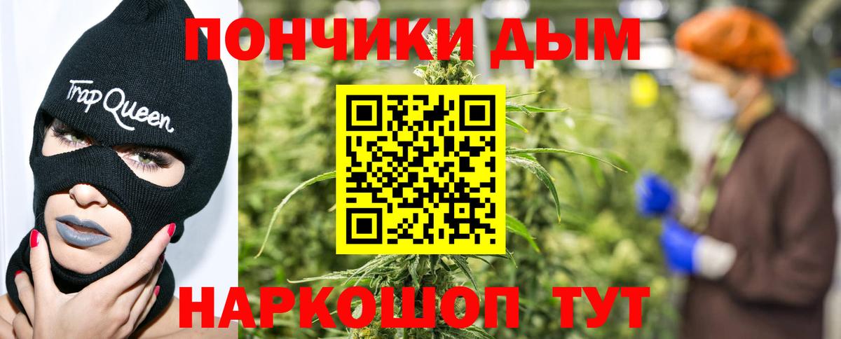Марихуана планчик Вологда