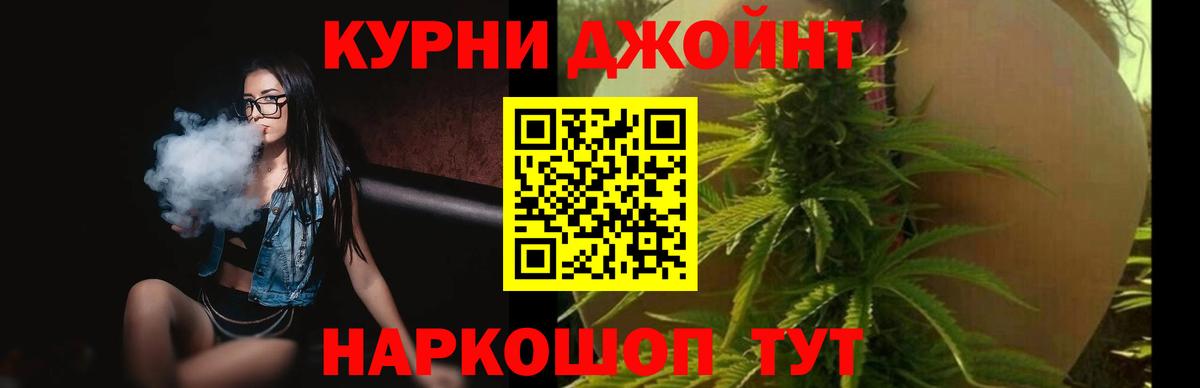 Бошки Шишки SATIVA & INDICA  МАРИХУАНА планчик  Бошки Шишки Bruce Banner  Вологда  Шишки марихуана семена  Вход с VPN 